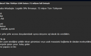 Telefon Dolandırıcılığı